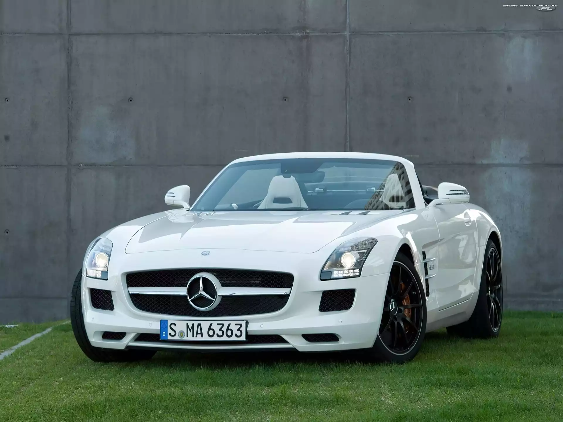 Znaczek, Mercedes-Benz SLS Roadster AMG, Maska