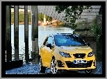 Seat Ibiza Cupra